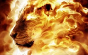 fire-lion-300x189
